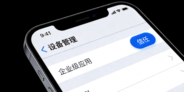 iPhone设置中设备管理界面截图，展示企业级应用信任按钮位置